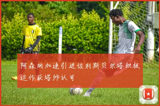 阿森纳加速引进佐利斯贝尔塔积极运作获塔帅认可